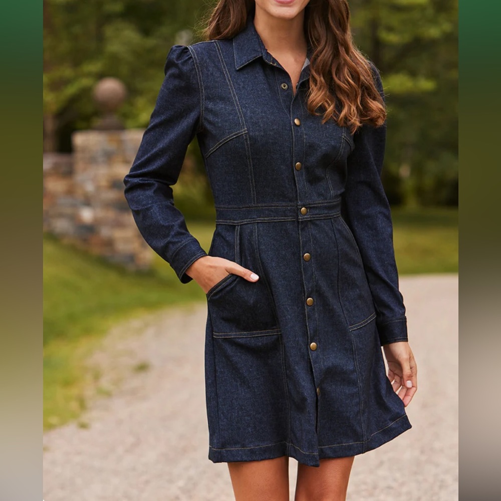 Jude Connally Solange Dress - NWT